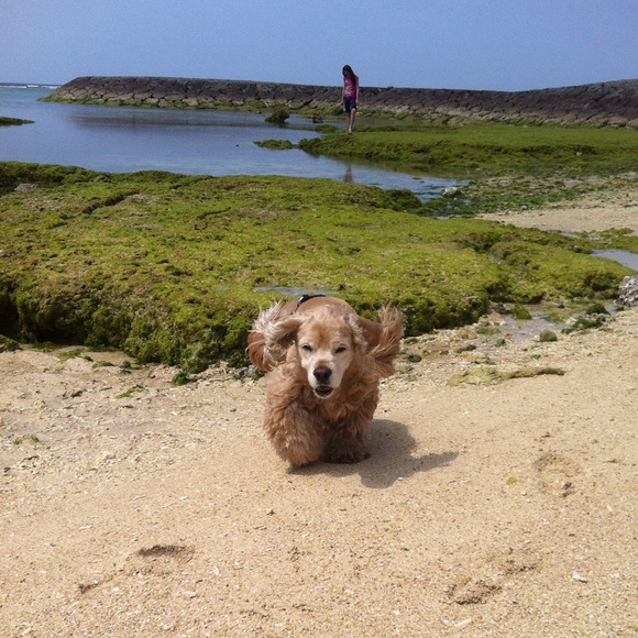 Meet your Posher, Eve - Picture 8 of 14